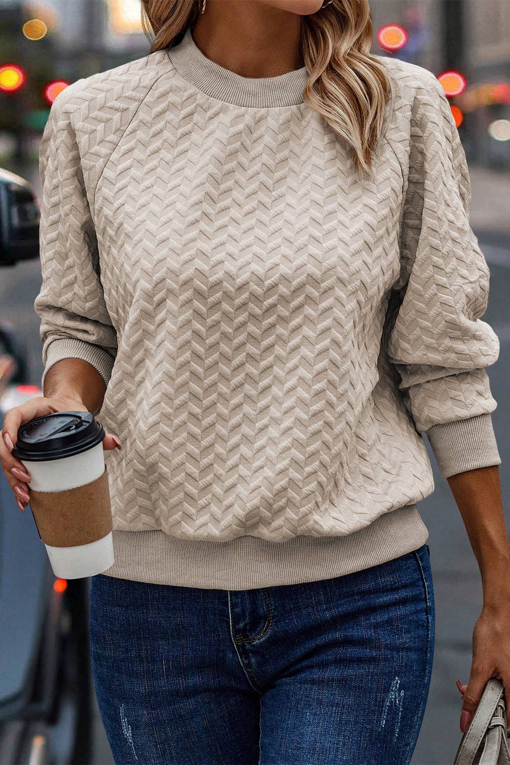 Textured Raglan Pullover Sweatshirt