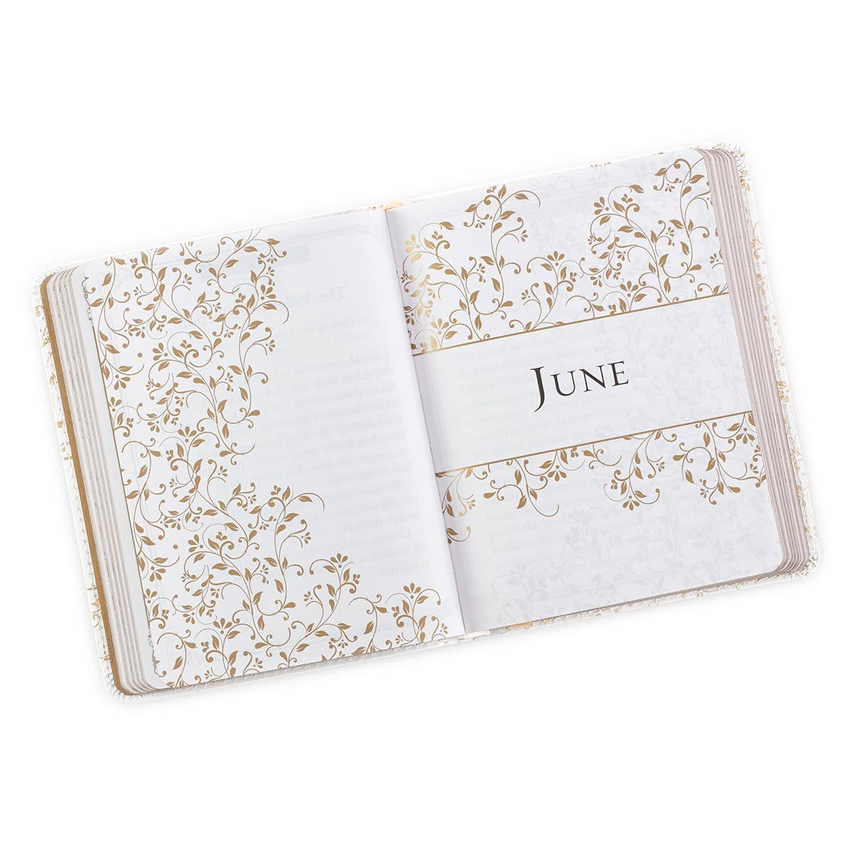 One-Minute Devotions: Morning by Morning